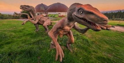 Huellas de dinosaurios